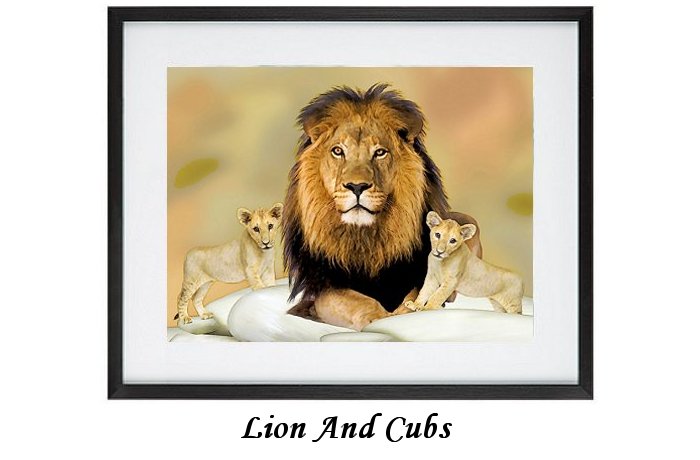 Lion And Cubs Framed Print